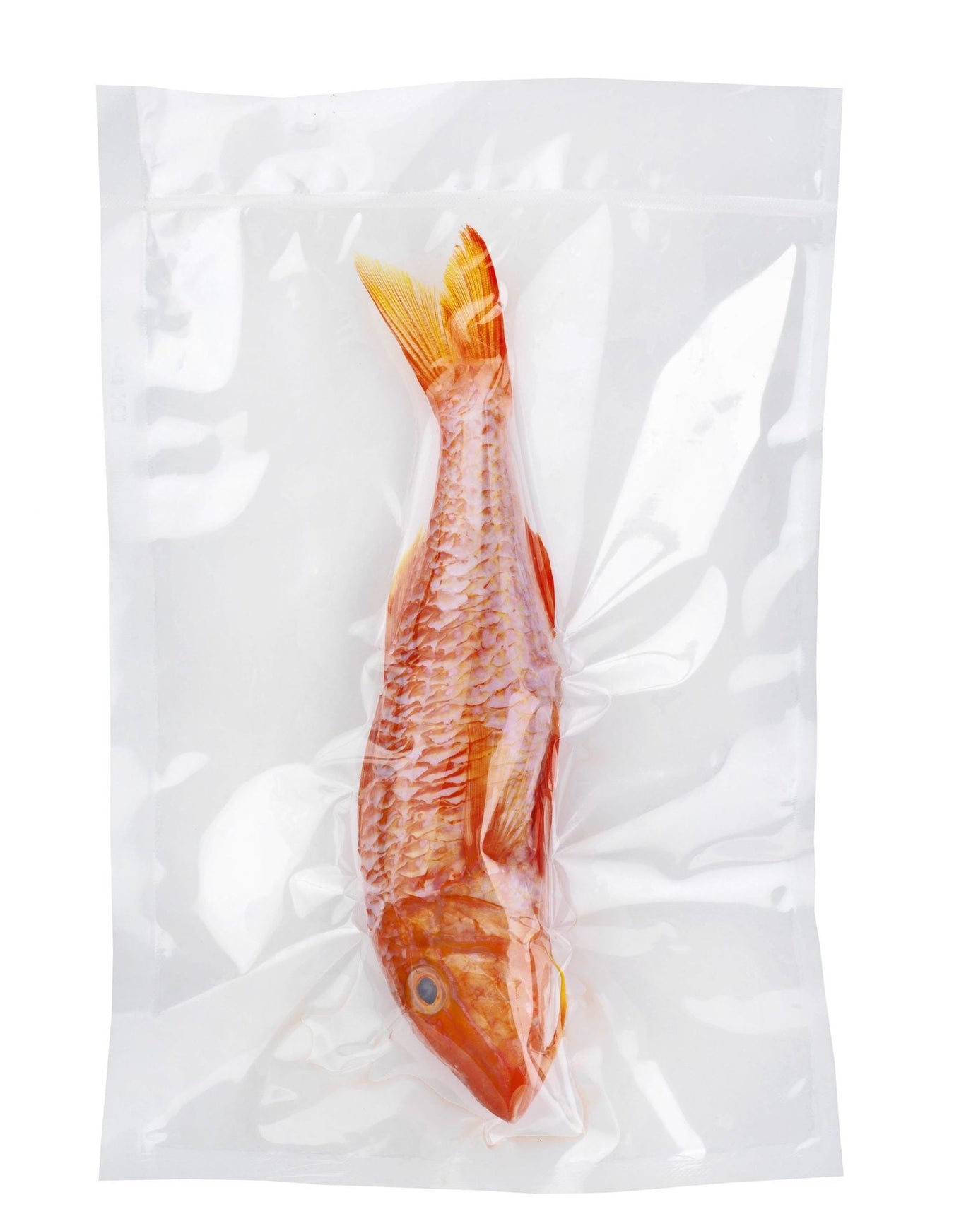 Food Packaging